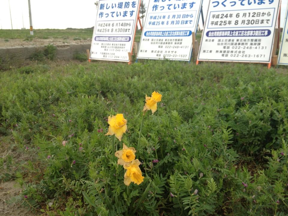 宮城県名取市の様子(2013年撮影)